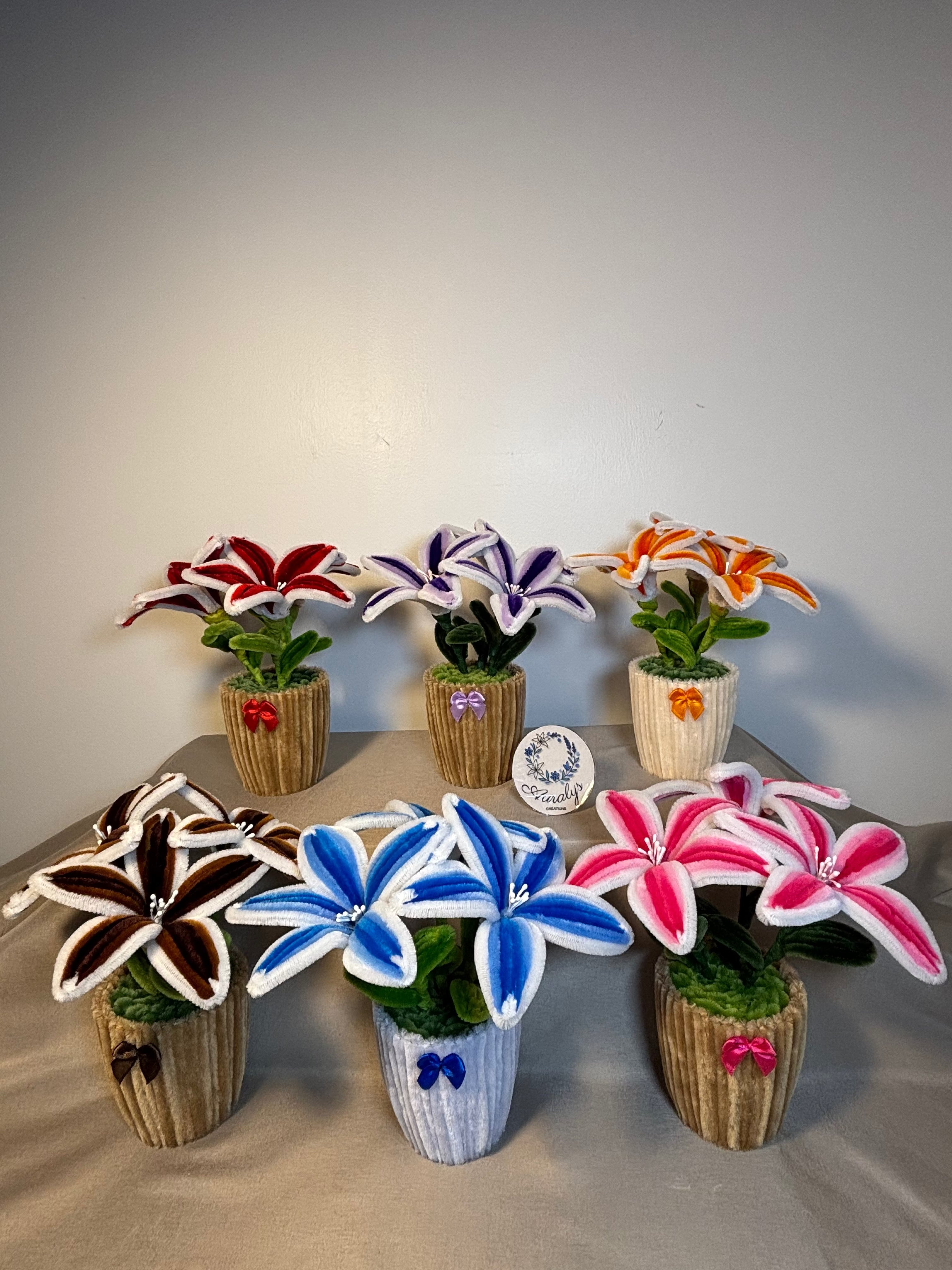 Lys Tricolor Auralys Créations